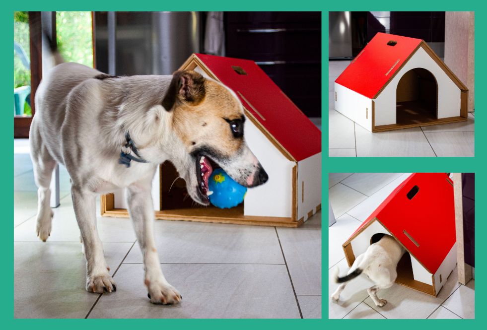 Come scegliere la cuccia per cani da interno chiusa ideale