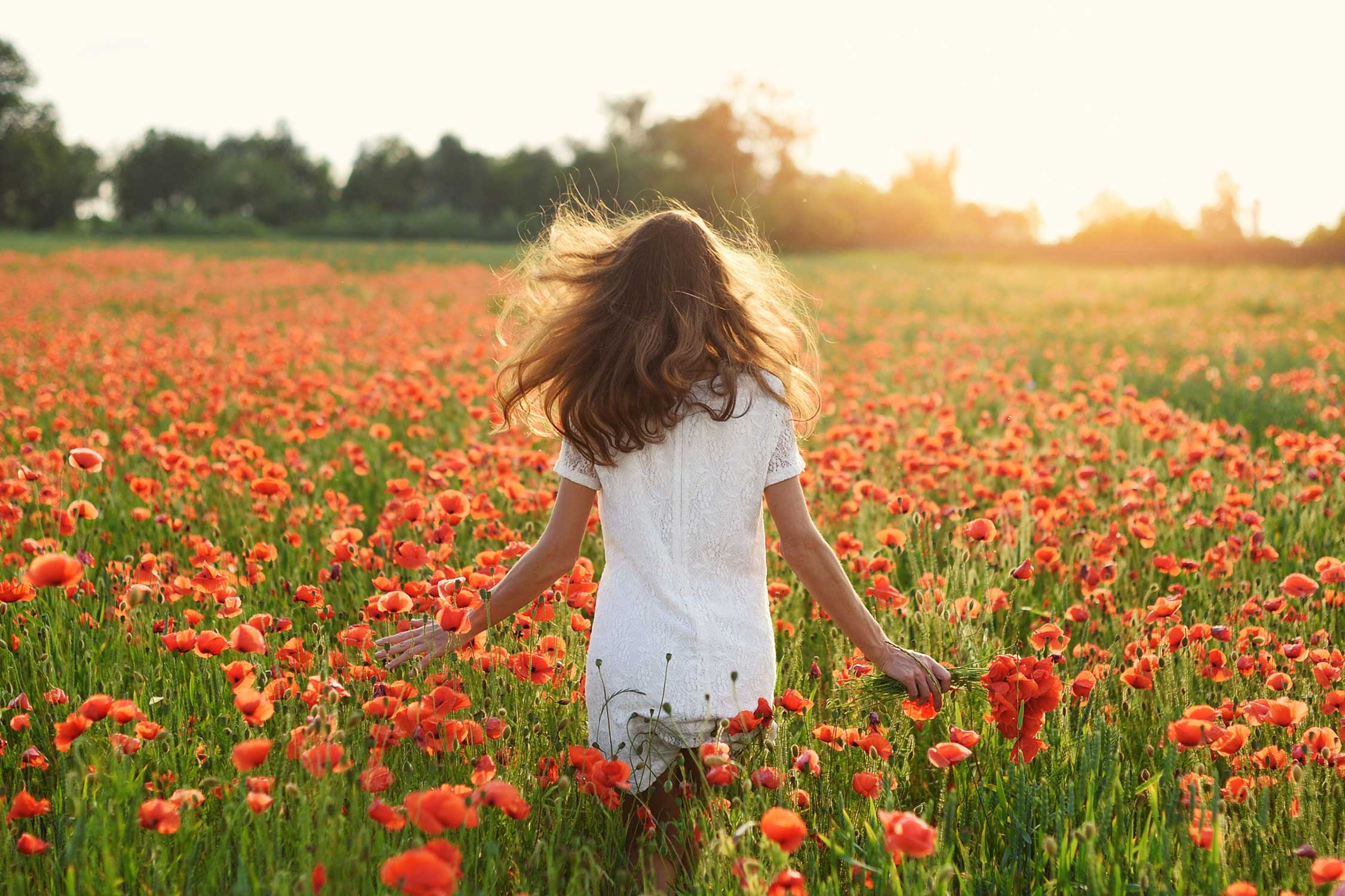 Bombe di Semi – Idee Regalo Ecologiche e Sostenibili