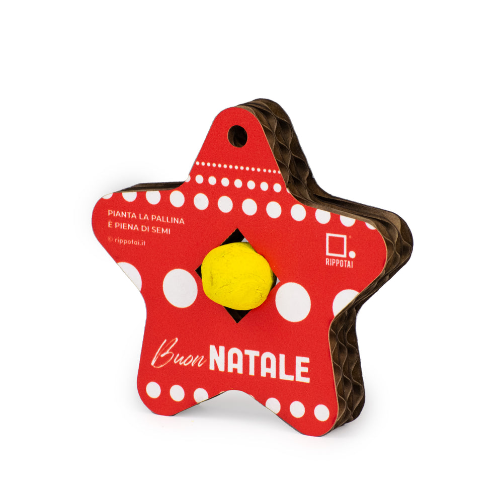 Kit decorazioni natalizie ecologiche: Coltiva il Tuo Natale Sostenibile con Stile!