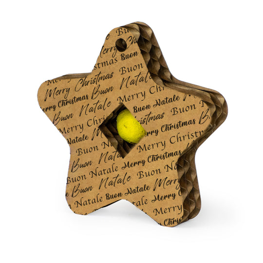 Eco-friendly Christmas Kit: Cultivate Your Sustainable Christmas with Style!