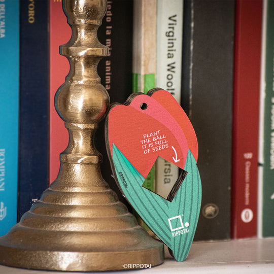 Bombe Semi – Regalo Ecosostenibile per la Mamma