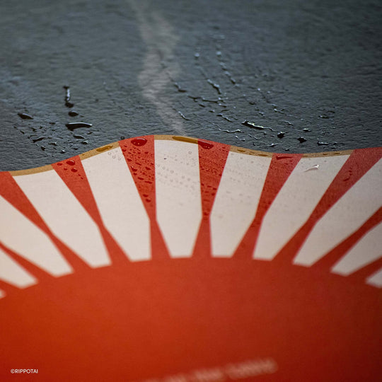 Sottopiatti Moderni e Sottobicchieri Coordinati 3pz – Collezione "Love is on the Table"