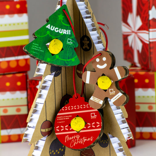 Eco-friendly Christmas Kit: Cultivate Your Sustainable Christmas with Style!