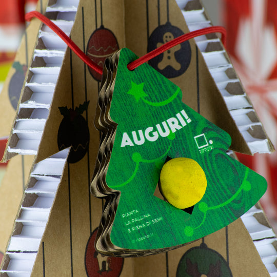 Eco-friendly Christmas Kit: Cultivate Your Sustainable Christmas with Style!