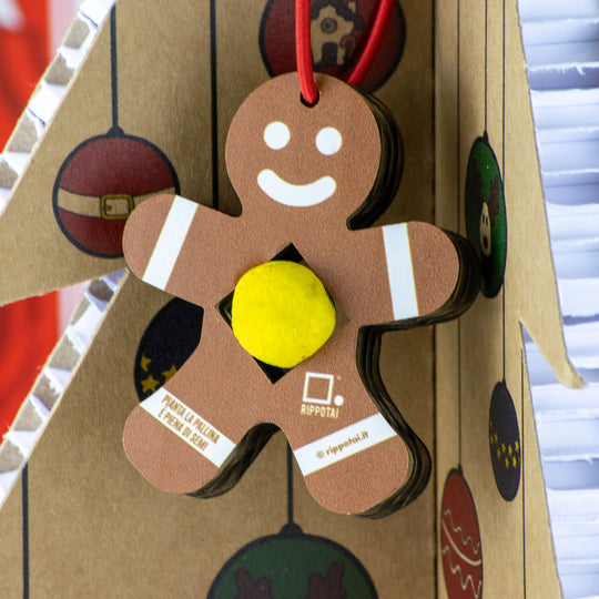 Eco-friendly Christmas Kit: Cultivate Your Sustainable Christmas with Style!