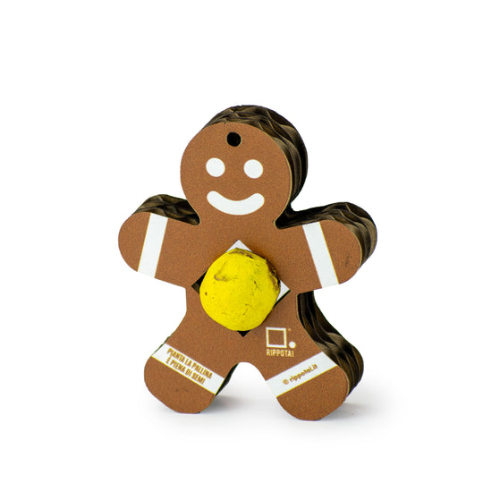 Eco-friendly Christmas Kit: Cultivate Your Sustainable Christmas with Style!