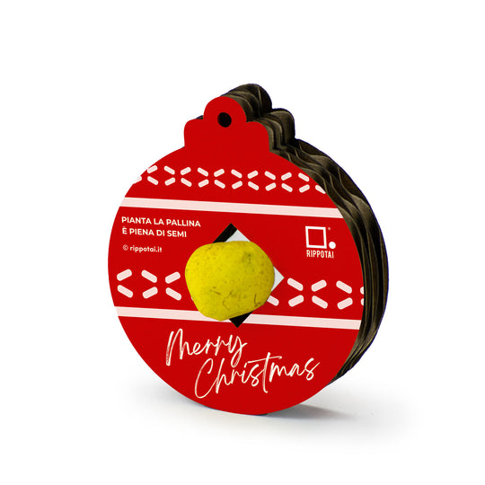 Eco-friendly Christmas Kit: Cultivate Your Sustainable Christmas with Style!