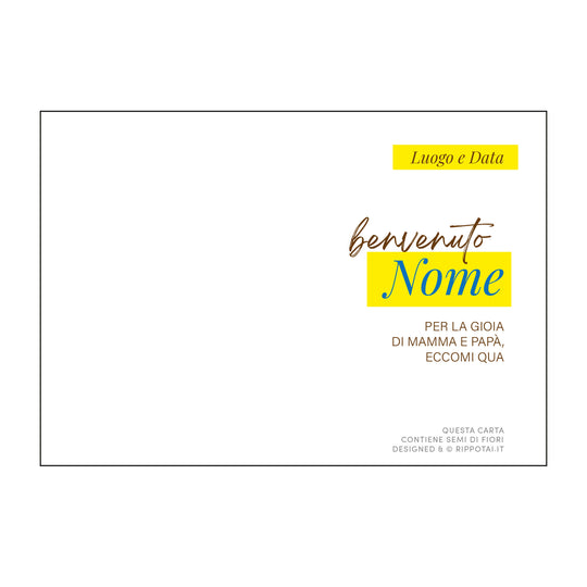 Lot de 4 cartes "salutations" Irrévérencieuses en papier semi-fini