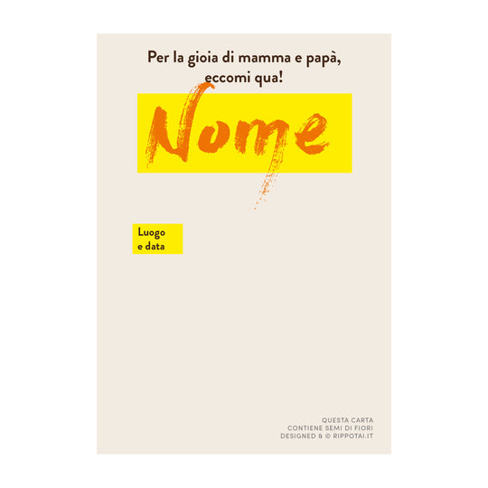 Lot de 4 cartes "salutations" Irrévérencieuses en papier semi-fini