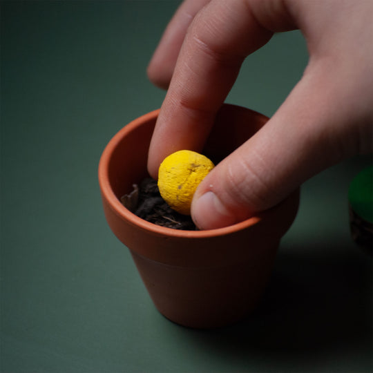 Coniglietto Pasquale ecologico con bomba di semi! Set da 2