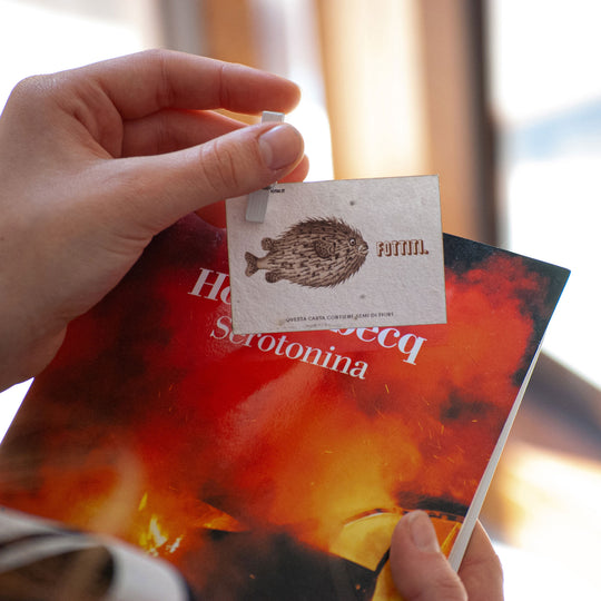Ensemble de 4 cartes irrévérencieuses et 4 étiquettes cadeaux "voeux" en semi-papier