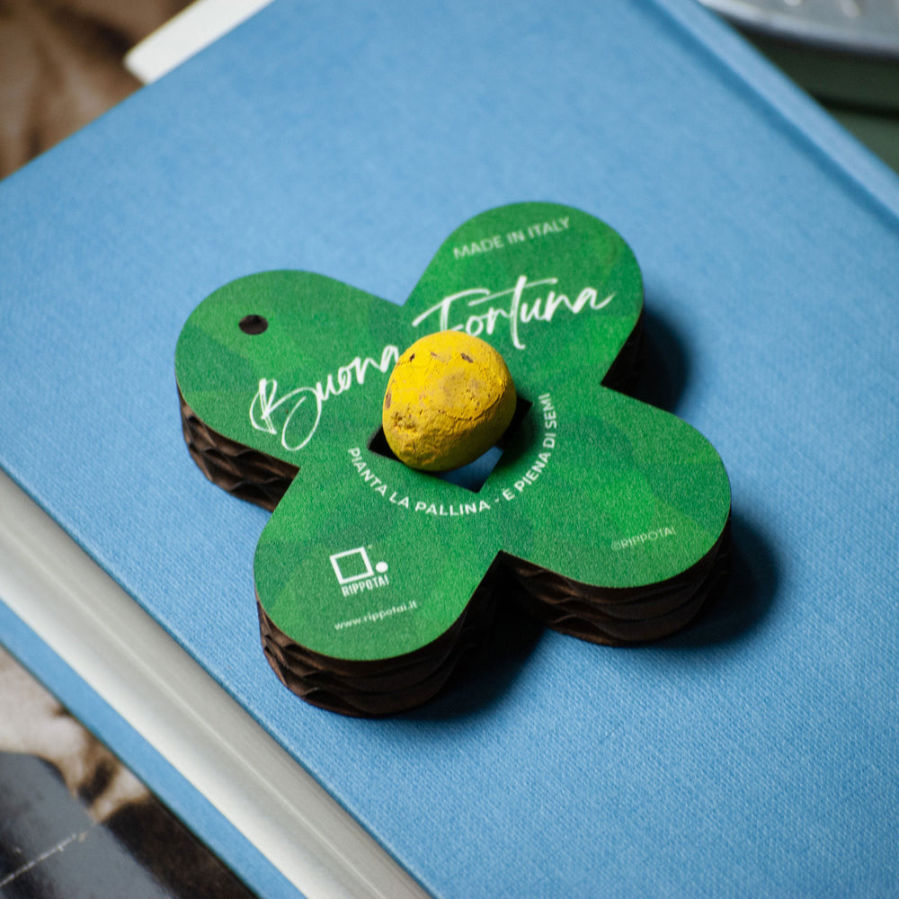 Quadrifogli Portafortuna Ecologici - Kit da 2 con Bombe di Semi di Fiori per Eventi e Regali