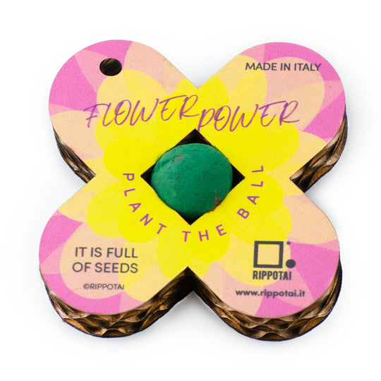 Quadrifogli Portafortuna Ecologici - Kit da 2 con Bombe di Semi di Fiori per Eventi e Regali