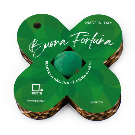 Quadrifogli Portafortuna Ecologici - Kit da 2 con Bombe di Semi di Fiori per Eventi e Regali