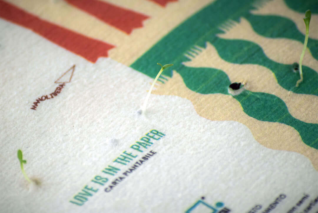 Cos'è la carta piantabile e perché è un regalo speciale?