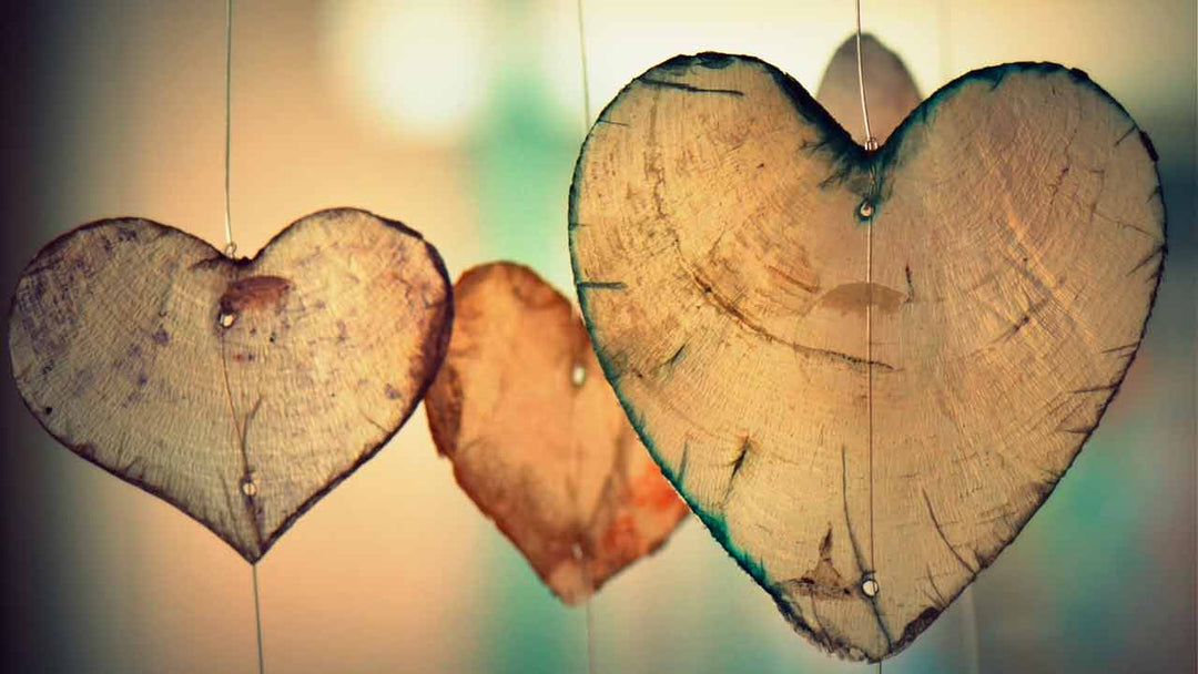 Nachhaltiger Valentinstag: Geschenkideen für Verliebte mit Rippotai