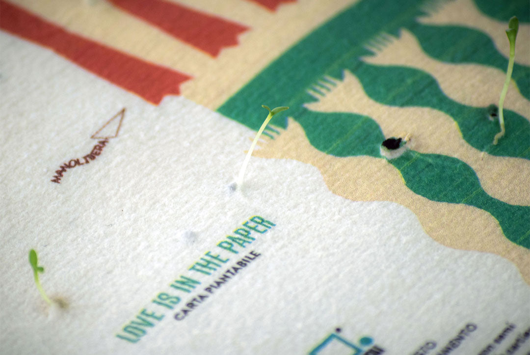 Cos'è la carta piantabile e perché è un regalo speciale?