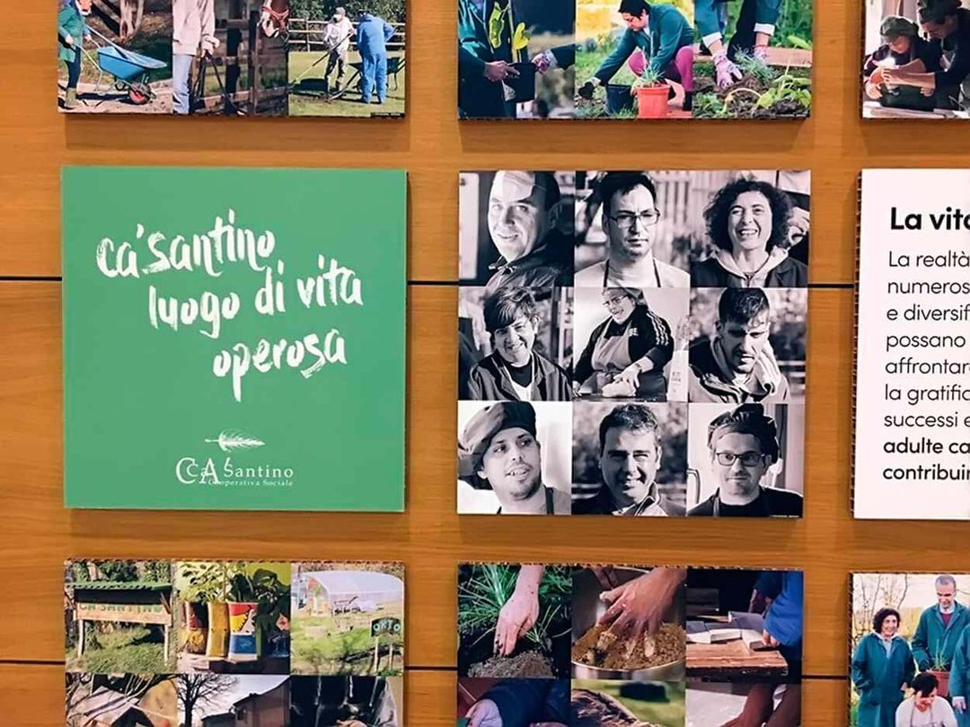 Rippotai Creative Lab - il supporto creativo per Aziende green