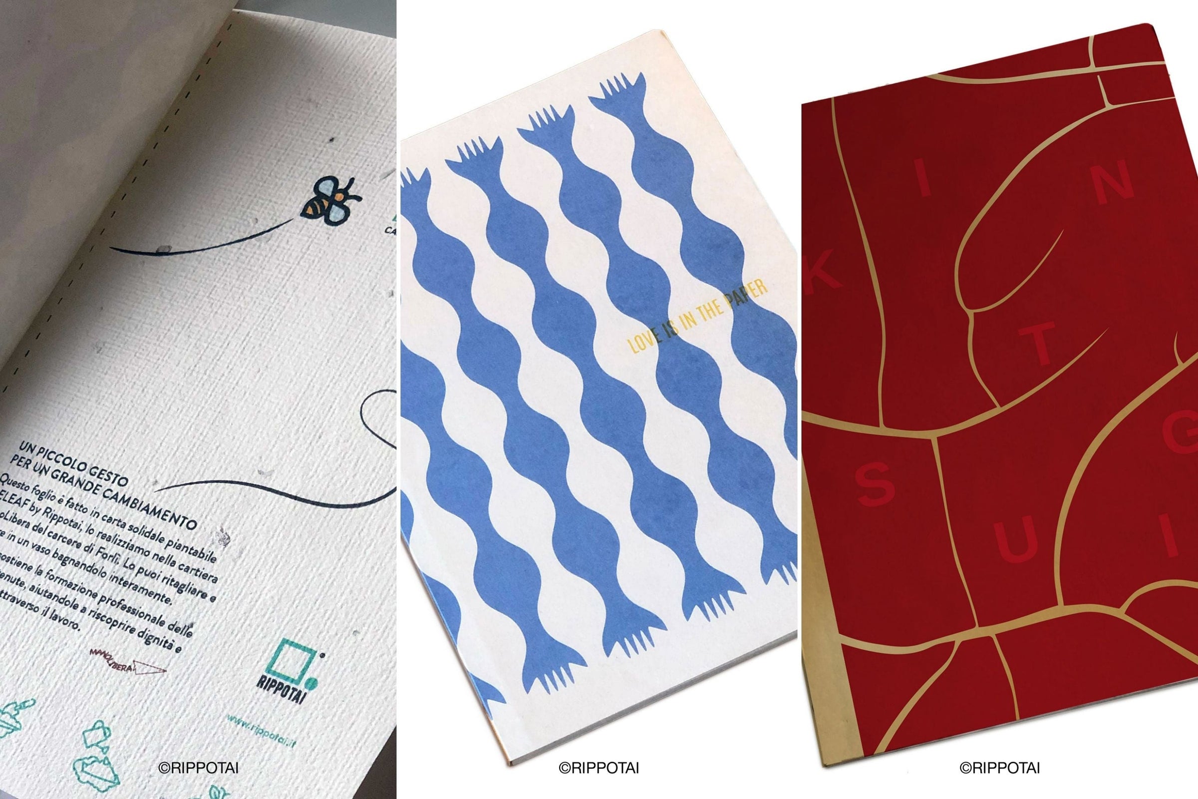 Quaderni Ecologici: Sostenibilità e Design per Ogni Occasione