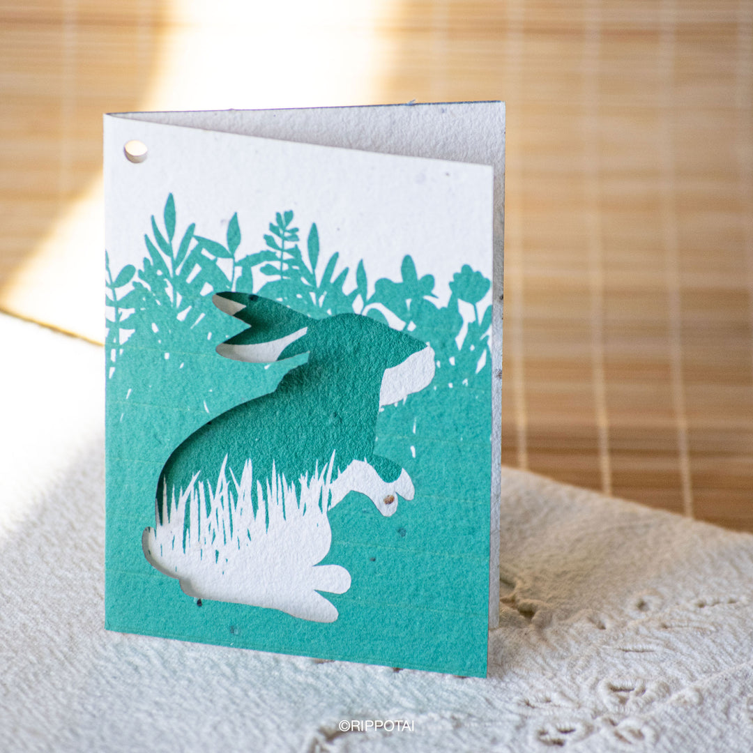 Cartes de vœux en papier à planter sur le thème du printemps – Lot de 8