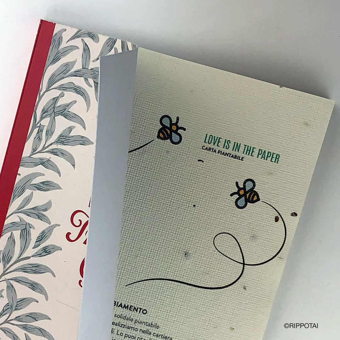 Gentle Intentions Daily Journal - Free Shipping