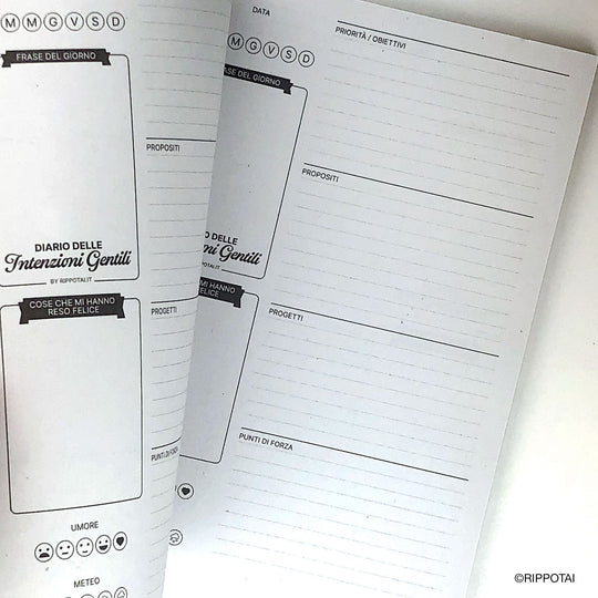 Gentle Intentions Daily Journal - Free Shipping