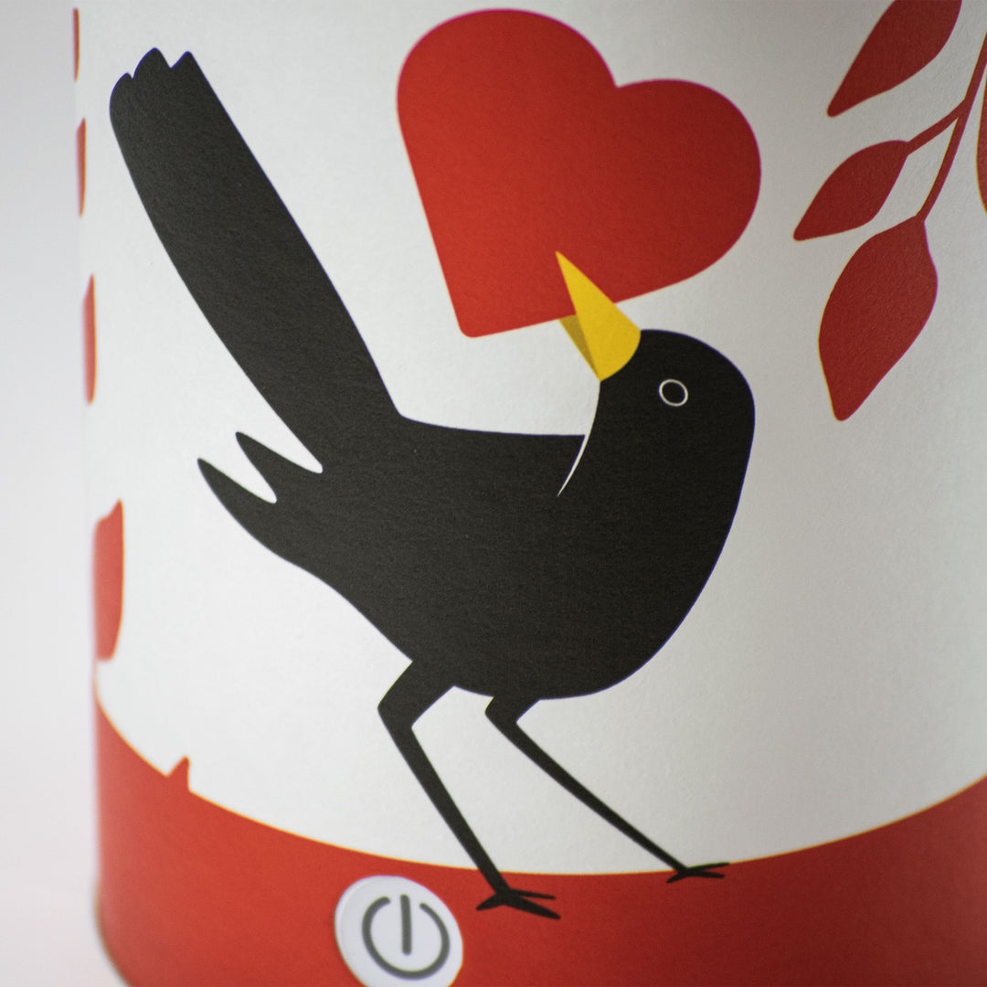 Lampe LED rechargeable écologique – Idées cadeaux Saint Valentin
