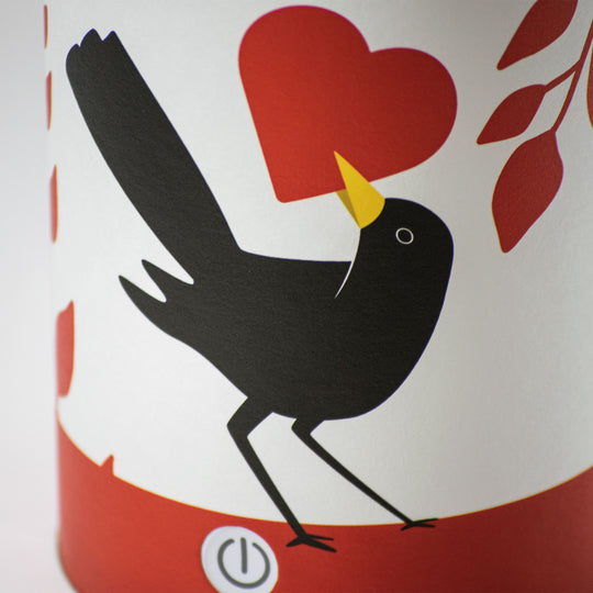 Lampe LED rechargeable écologique – Idées cadeaux Saint Valentin