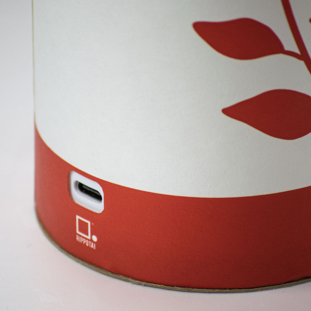 Lampe LED rechargeable écologique – Idées cadeaux Saint Valentin
