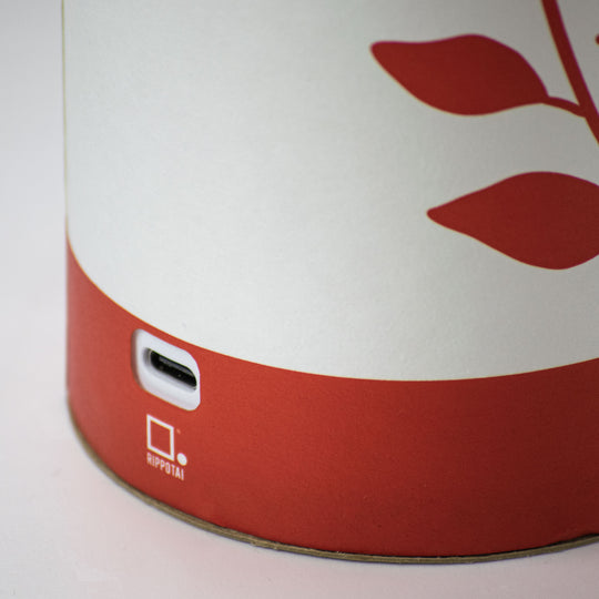 Lampe LED rechargeable écologique – Idées cadeaux Saint Valentin