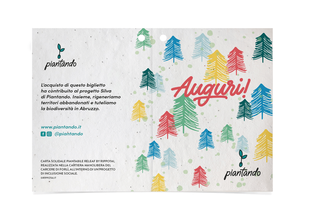 Palline di Natale Solidali con Biglietto Sostieni Progetto SILVA di Piantando