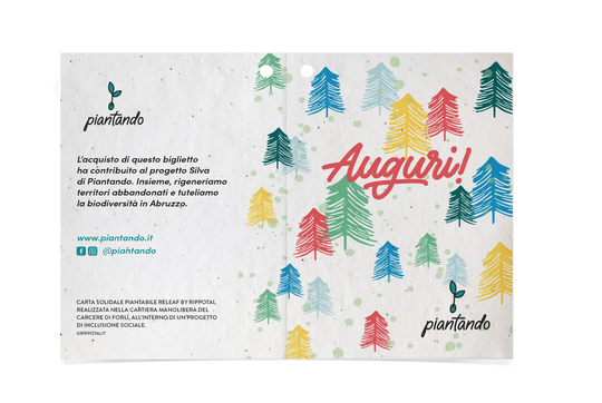 Palline di Natale Solidali con Biglietto Sostieni Progetto SILVA di Piantando
