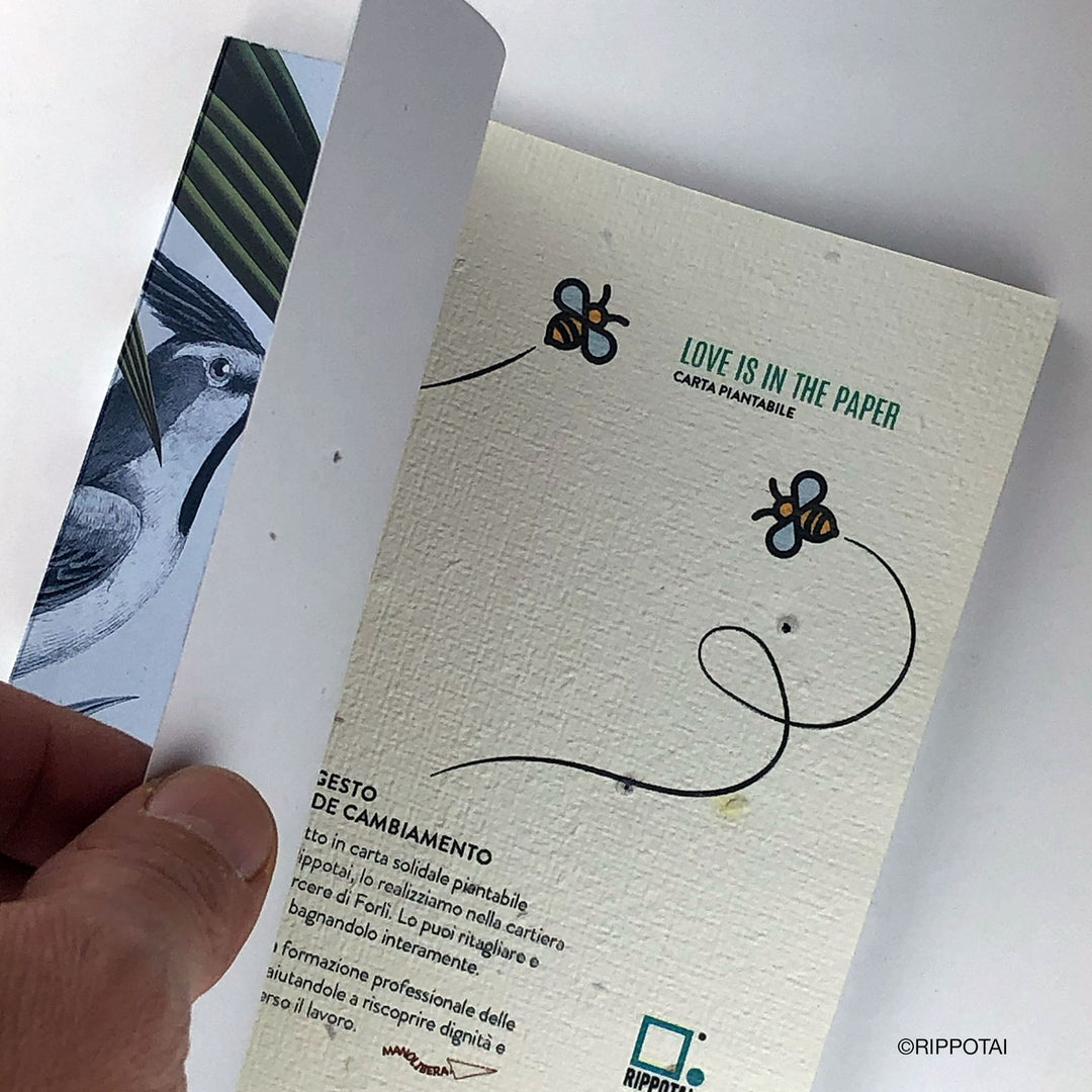 Birds in the Forest Recycled Paper Notebook - Free Shipping