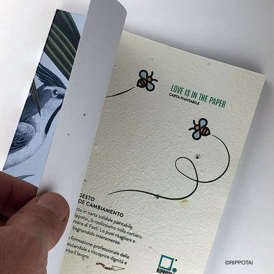 Birds in the Forest Recycled Paper Notebook - Free Shipping