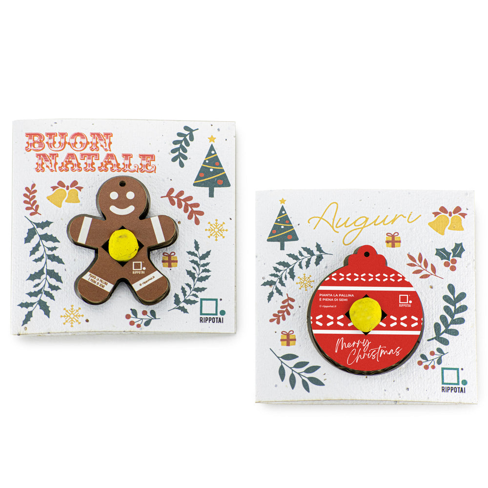 Cadeau solidaire pour Noël - Décorations de Noël écologiques à planter