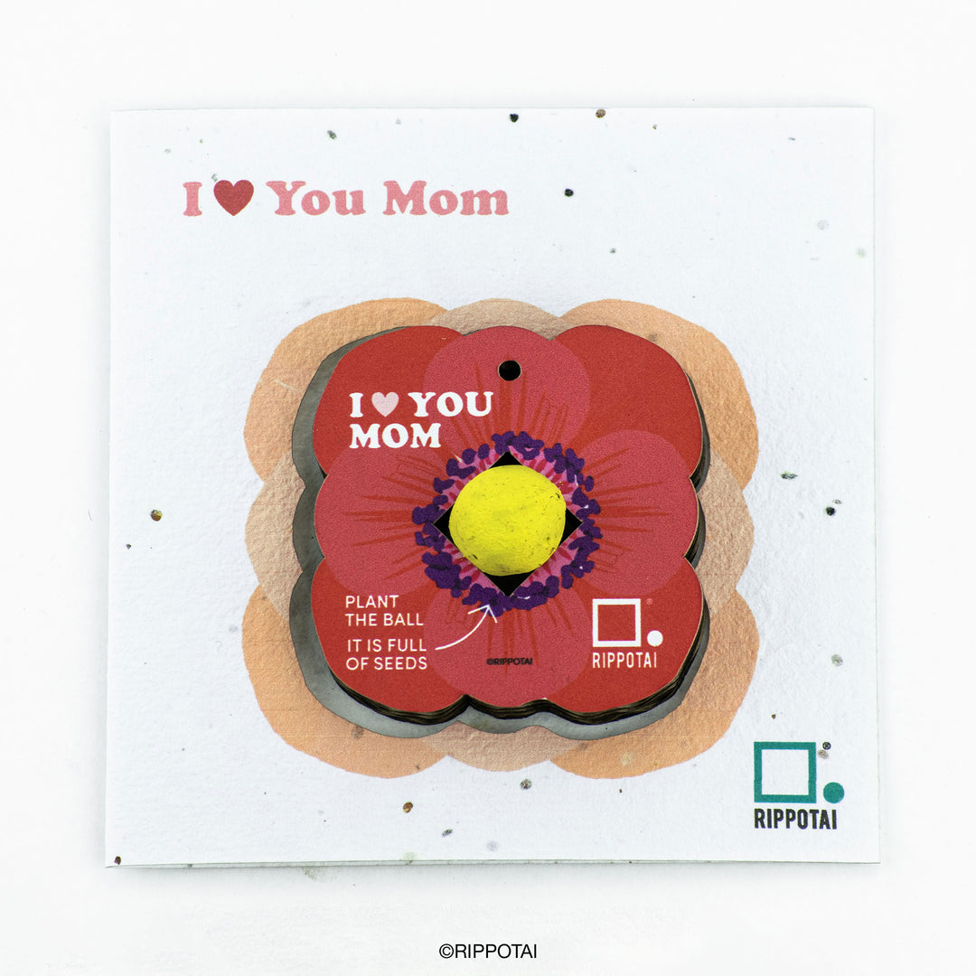 An eco-friendly gift idea for Mother's Day- plantable set with card