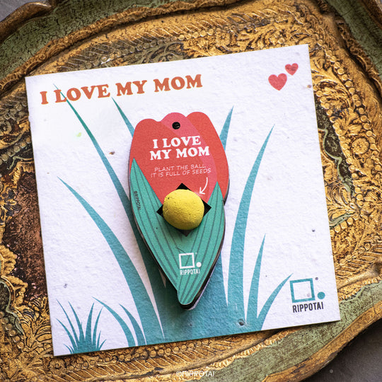 An eco-friendly gift idea for Mother's Day- plantable set with card