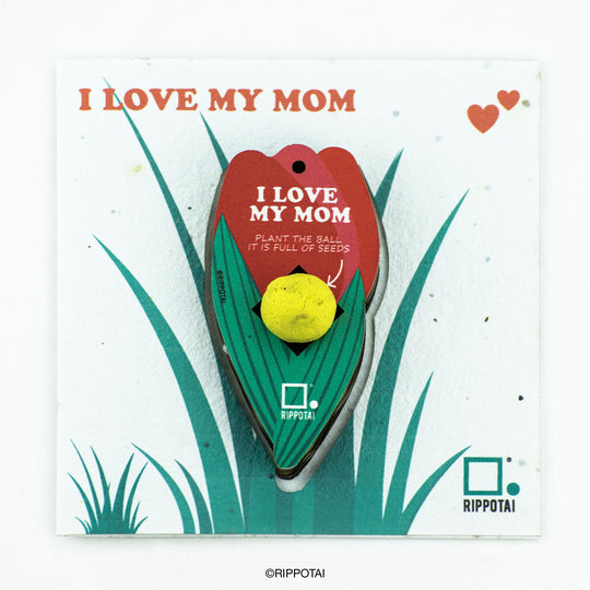 An eco-friendly gift idea for Mother's Day- plantable set with card