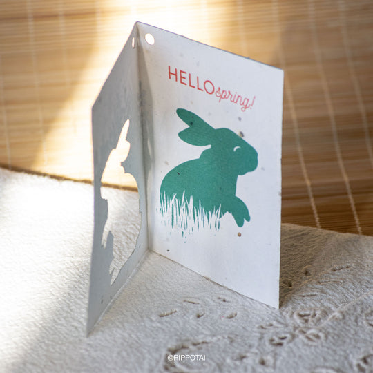 Cartes de vœux de Pâques en papier à planter Releaf – Lot de 8