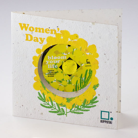 Ökologische Geschenkidee zum Frauentag, keine Schnittblumen, sondern zum Aussäen!