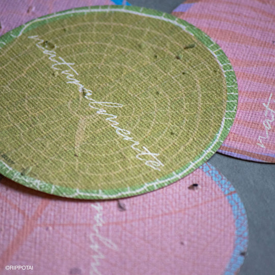 Sottobicchieri Carta Piantabile – Sostenibili, Solidali, Unici - Kit da 10