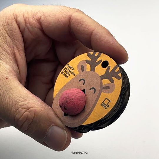 Addobbi Natalizi Ecologici – Kit da 3 con Bombe di Semi