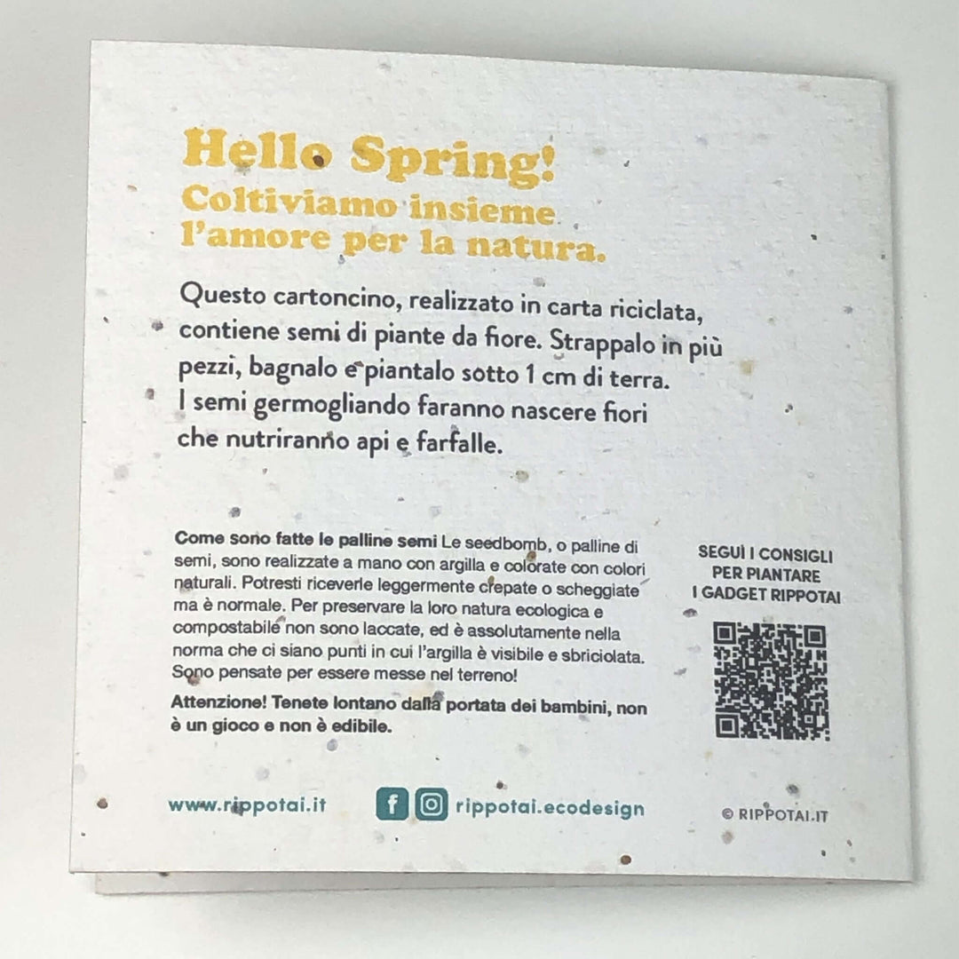 International Women's Day an eco-friendly gift idea to avoid cut flowers!