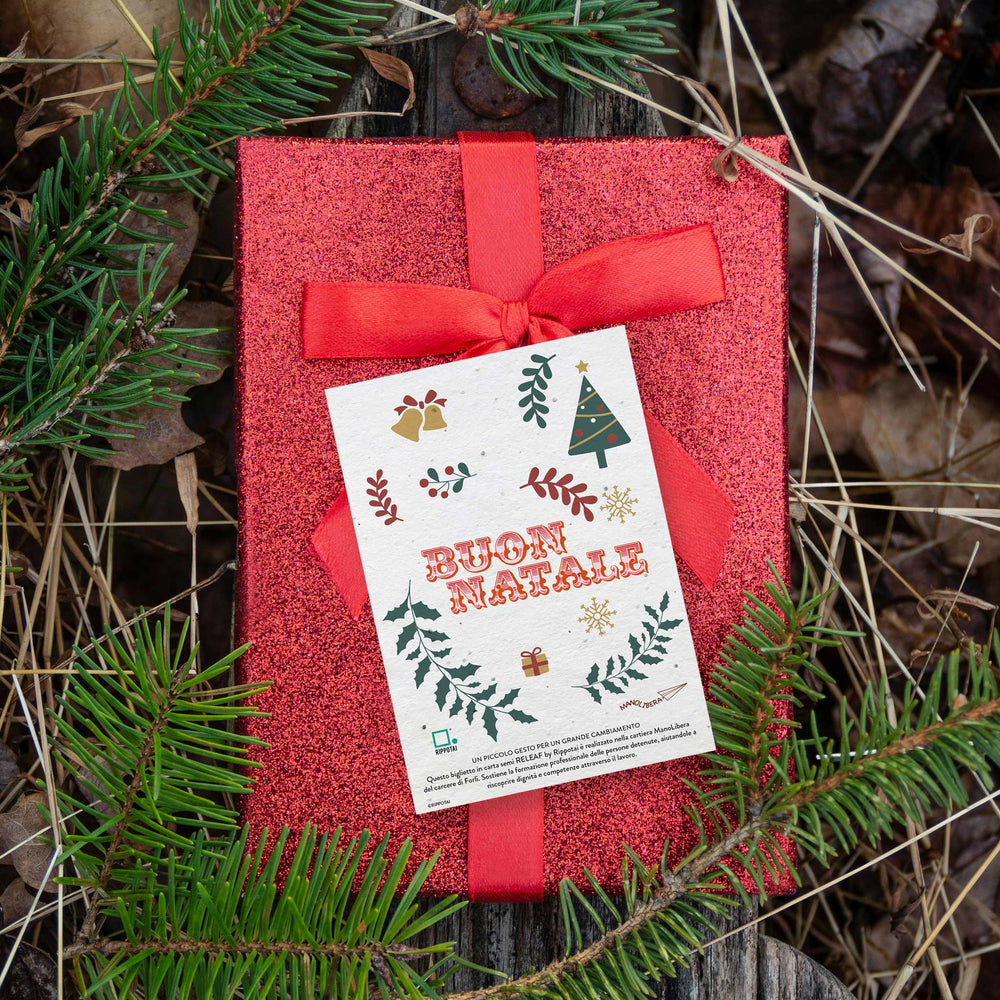 Cartes de Noël Semi Papier - Cadeau Solidaire pour une Planète Durable