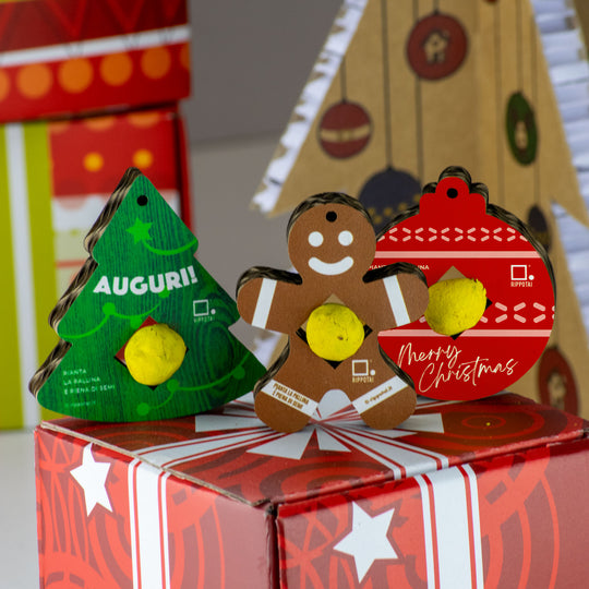 Eco-friendly Christmas Kit: Cultivate Your Sustainable Christmas with Style!