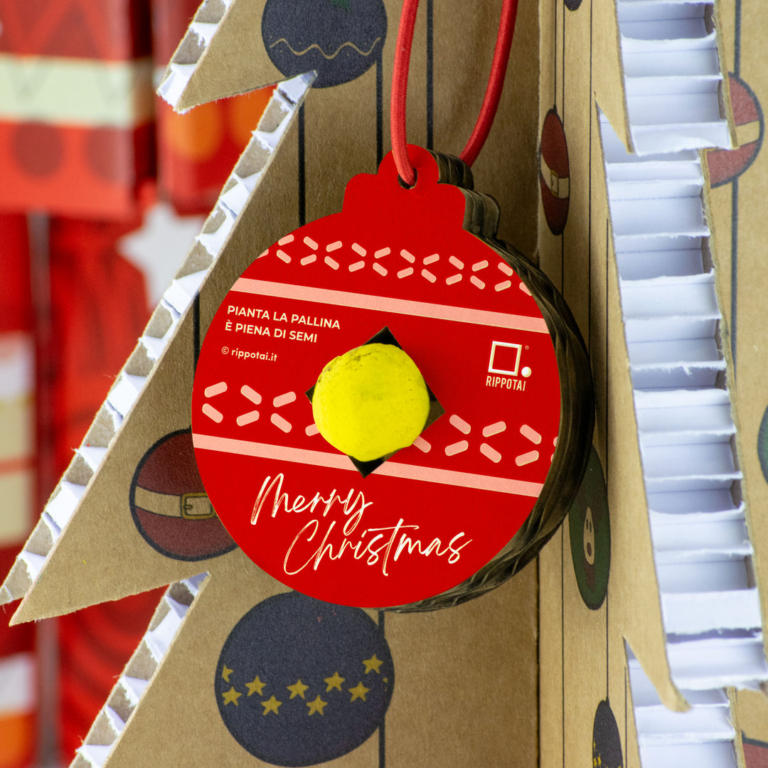 Kit decorazioni natalizie ecologiche: Coltiva il Tuo Natale Sostenibile con Stile!