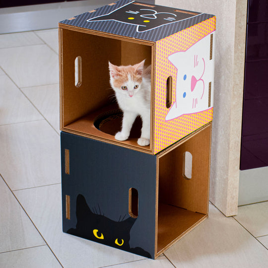 Eco-sustainable cat house Catpotai