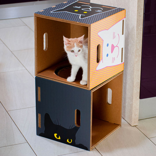 Cuccia per gatti eco-sostenibile Catpotai