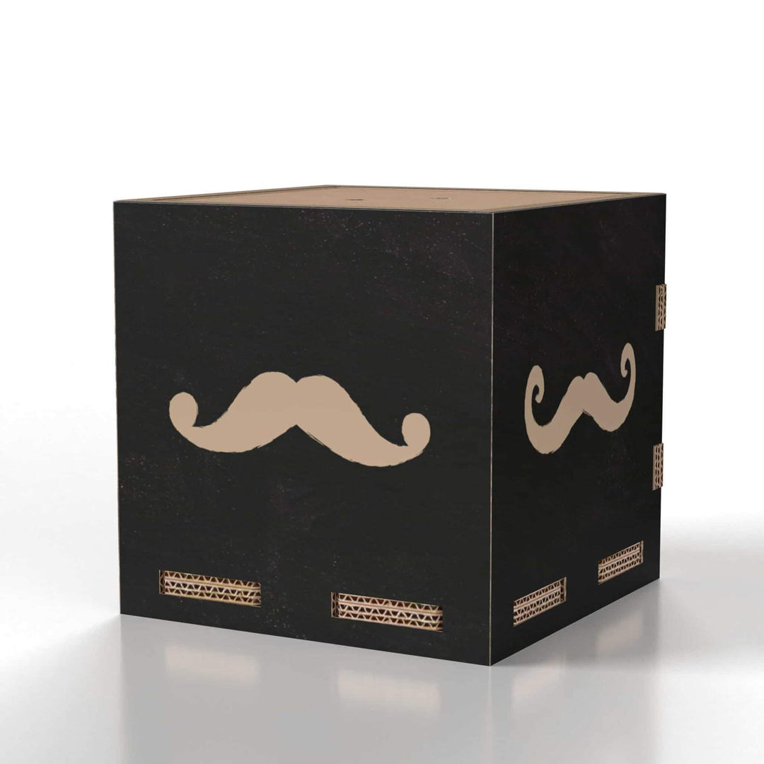 Eco-friendly Storage box Chic Stripes
