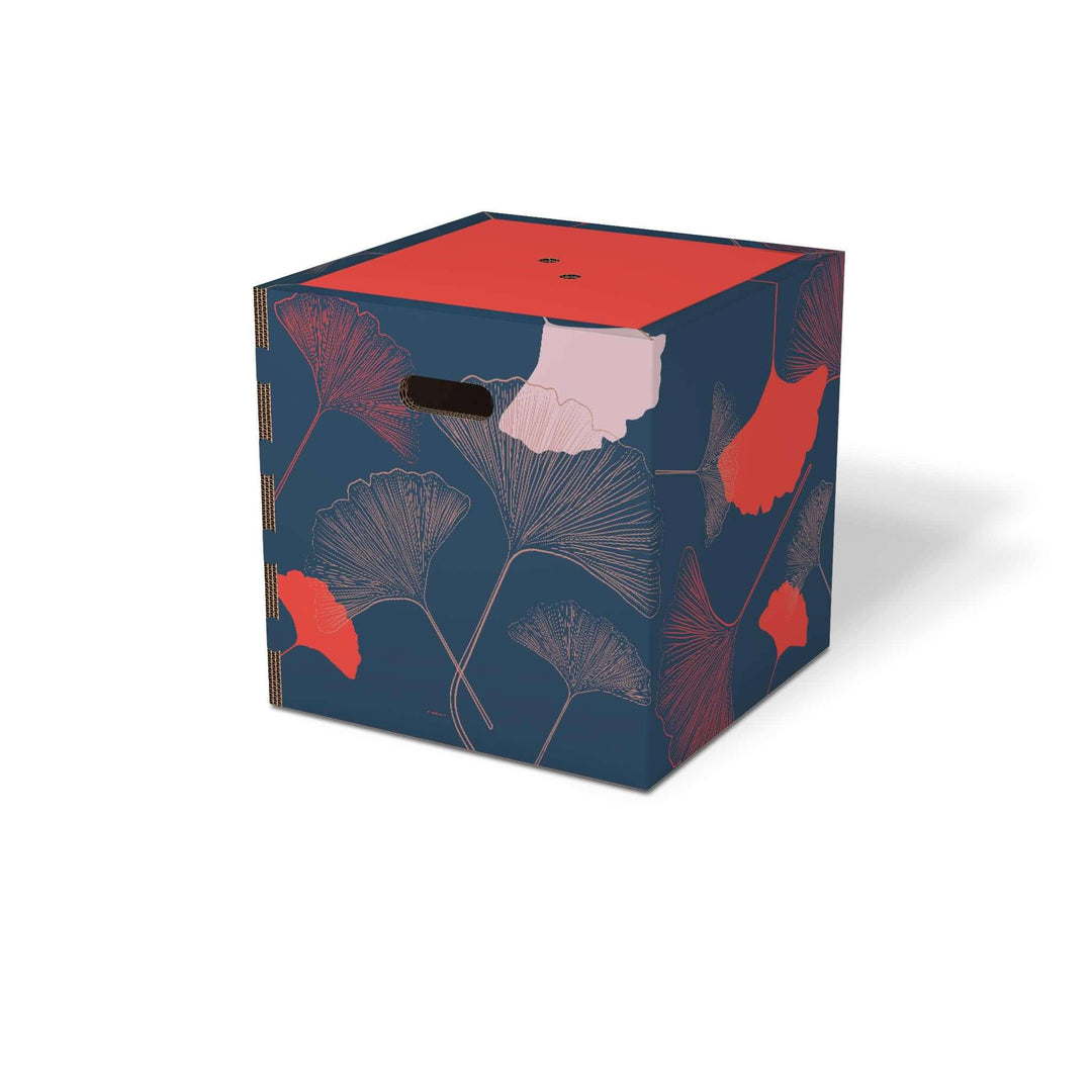 Cubo contenitore colorato di design